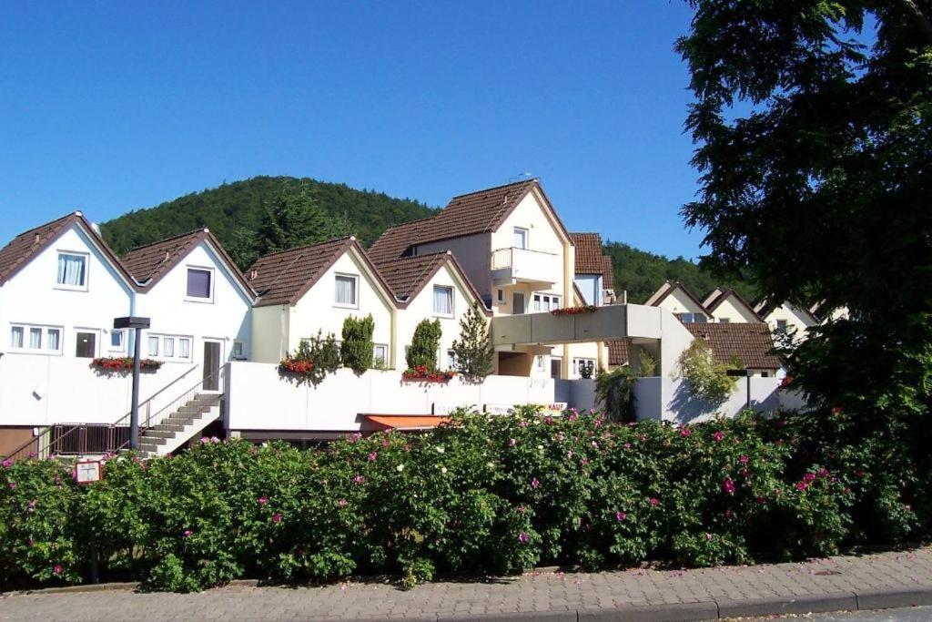 Gemutliche 93M2Fewo Mit 2 Schlafzimmern Und Seitlichem Seeblick Vom Balkon Scheid  외부 사진
